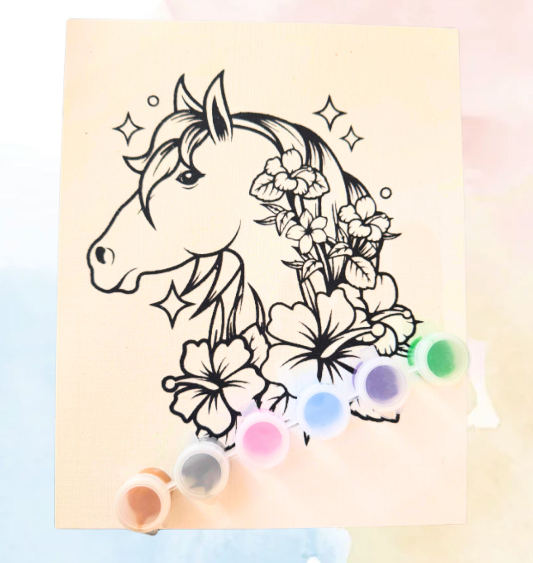 Horse Paint Set